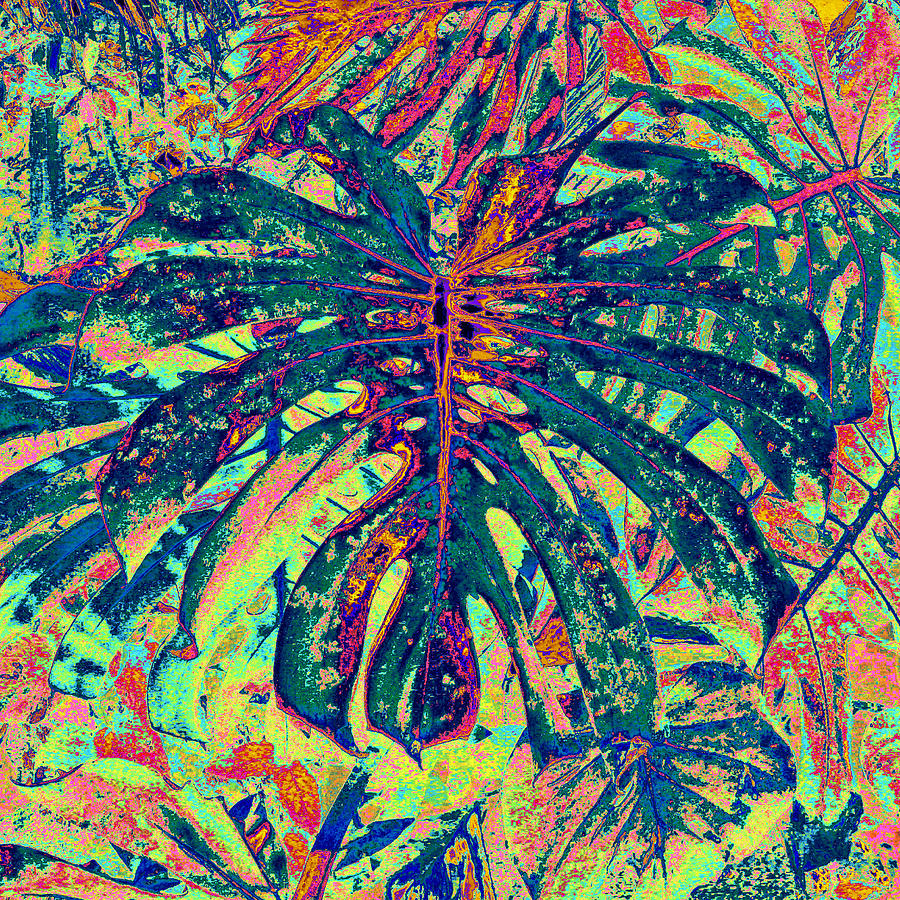 Monstera Leaf Patterns - square Digital Art by Kerri Ligatich
