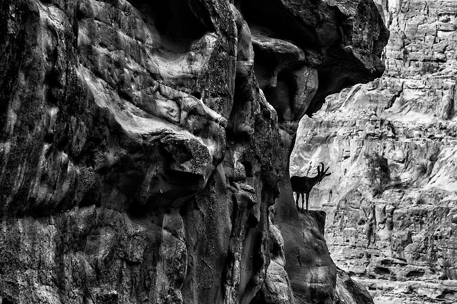 Sinister Photograph - Monsters And Ibex by Awais Yaqub Sinister Photograph - Monsters And Ibex by Awais Yaqub
