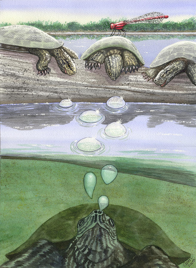 Turtle Painting - Monsters by Catherine G McElroy