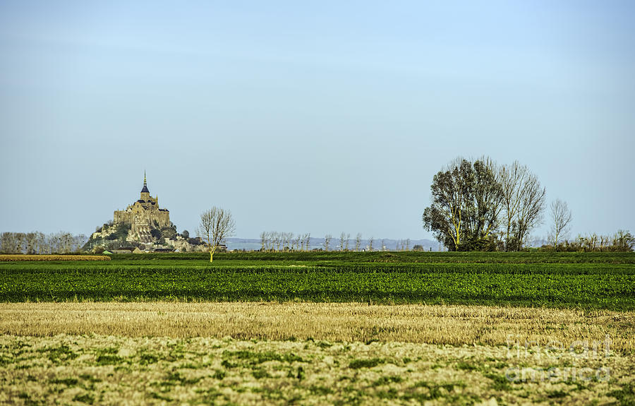 Mont St Michel in the polder Photograph by PatriZio M Busnel