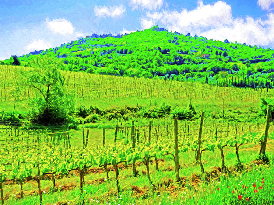Montalcino Above a Vineyard Digital Art by Dennis Cox