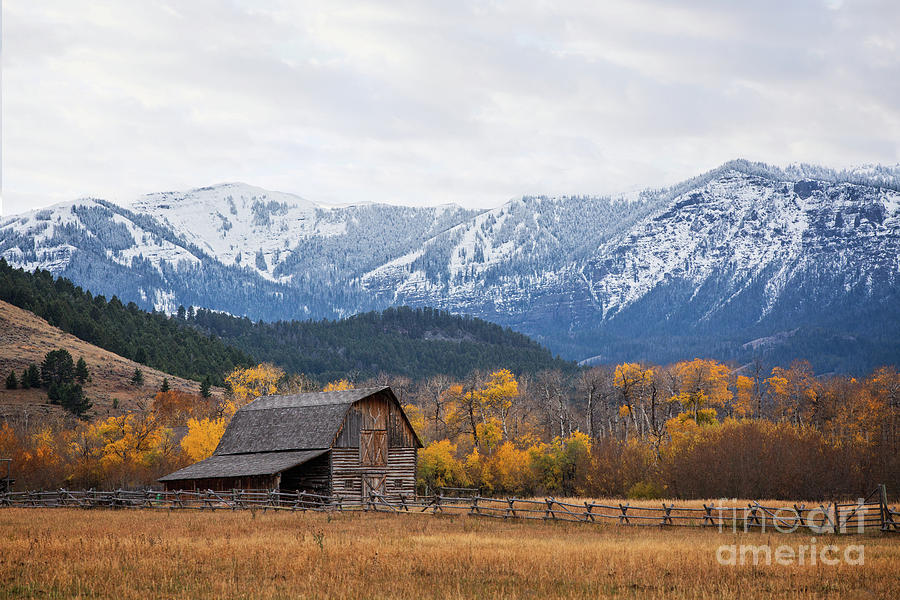 Nature Photograph - Montana Barn by Todd Bielby