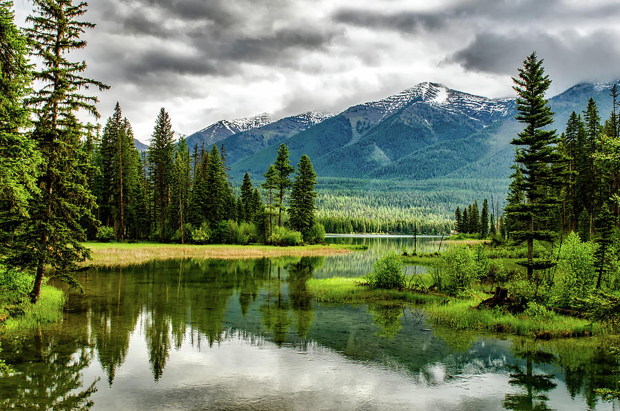 Montana Beauty Photograph by Mountain Dreams