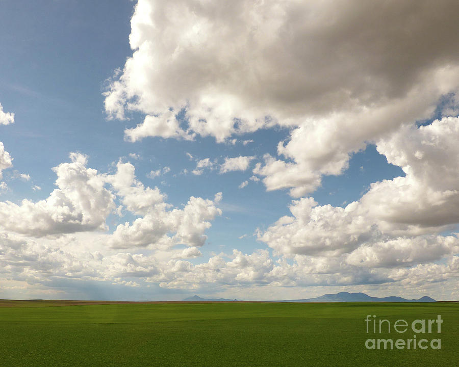 Montana Big Sky and plains Photograph by Paula Joy Welter