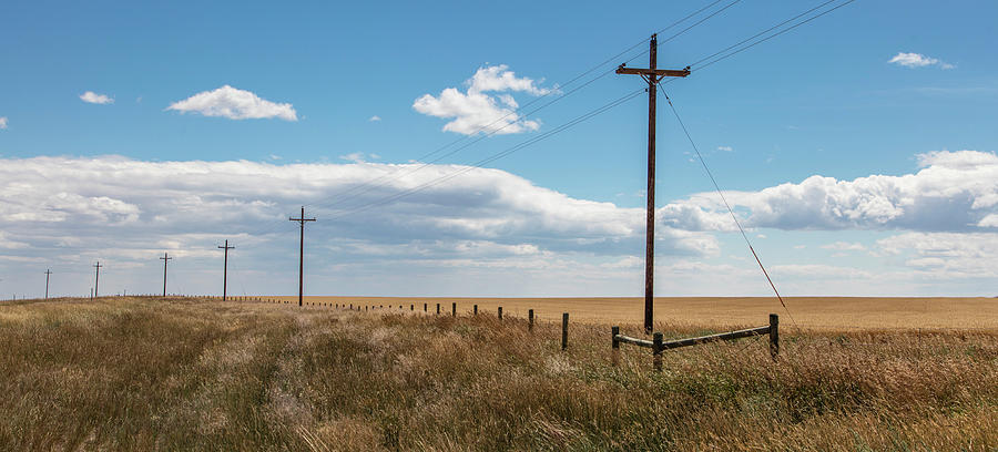 Montana Country Poles  Photograph by John McGraw