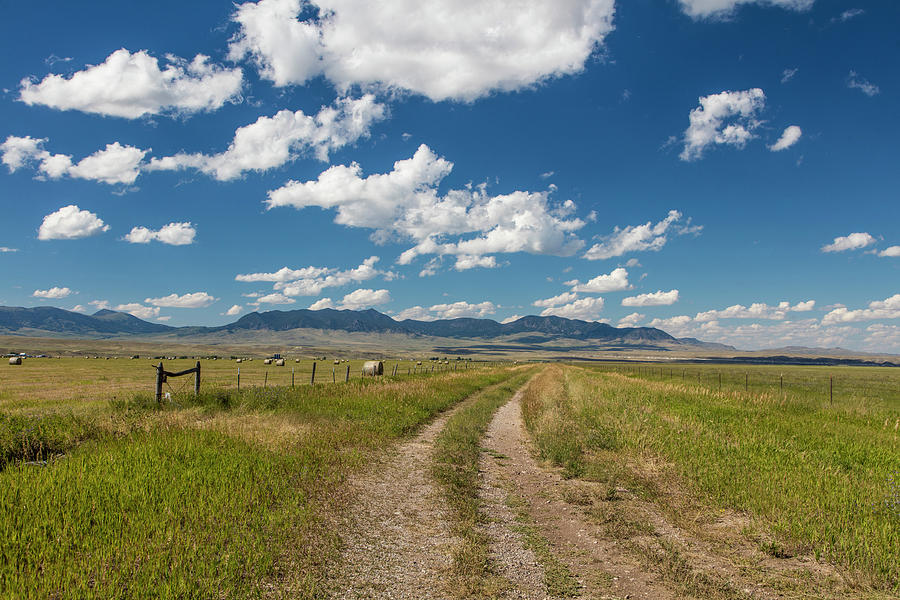 Montana Countryside and Clouds Photograph by John McGraw