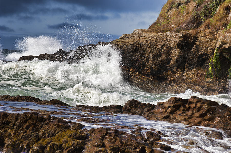 Montana de Oro Photograph by Roy Bozarth - Fine Art America