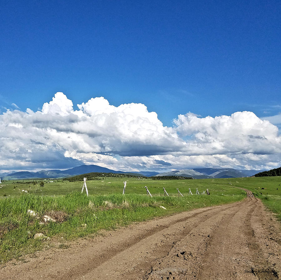 Montana Dirt Roads 1 Digital Art by Susan Kinney