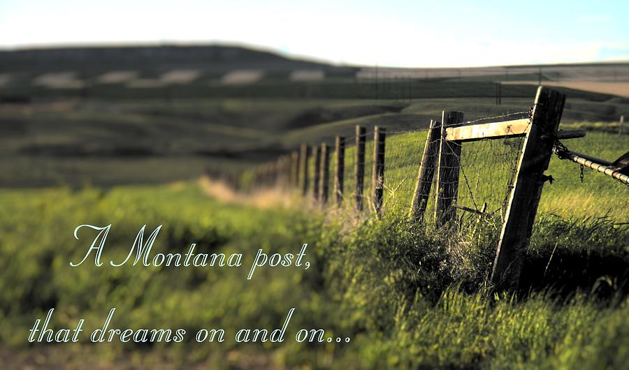 Montana Dream Photograph by Susan Kinney