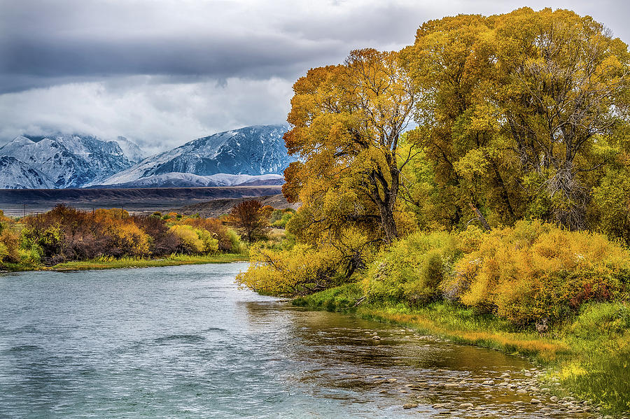 Montana Fall Photograph by Paul Freidlund