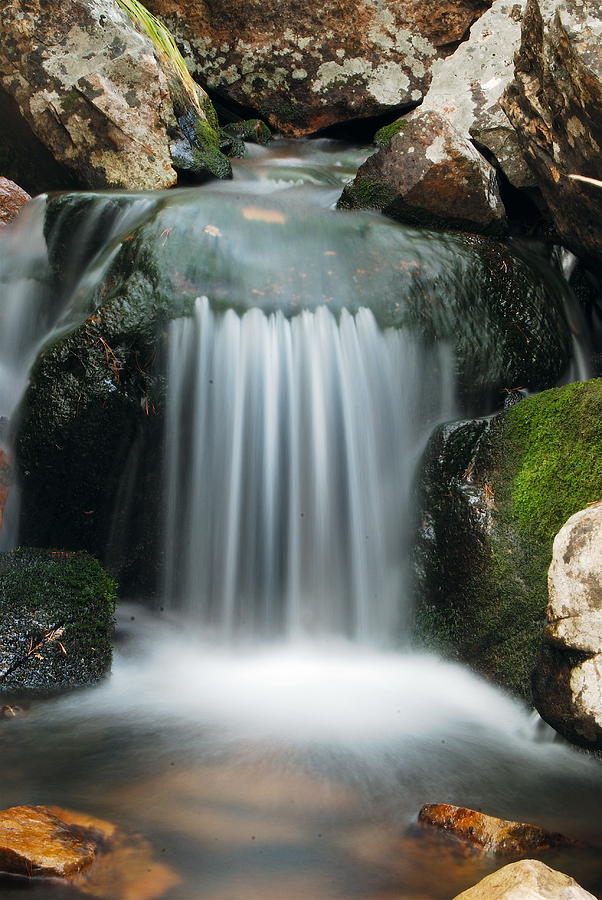 Montana Falls 9372 Photograph by Michael Peychich - Fine Art America