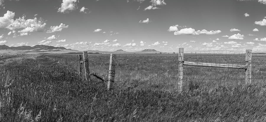 Montana Fence-line  Photograph by John McGraw