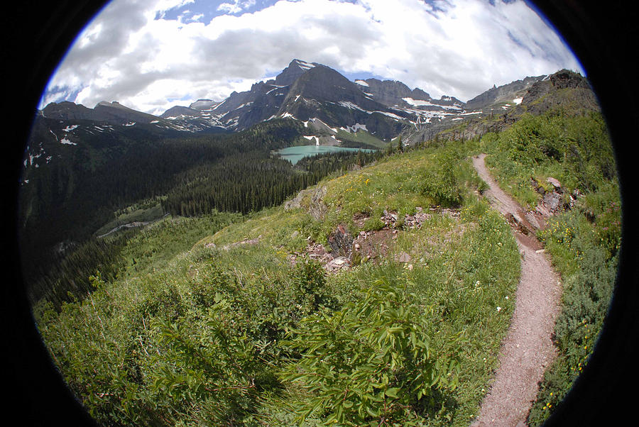 Montana Mountain Path  Photograph by Jody Lovejoy