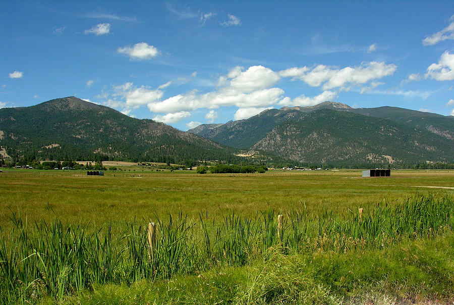 Montana Photograph by Ralph Perdomo - Fine Art America