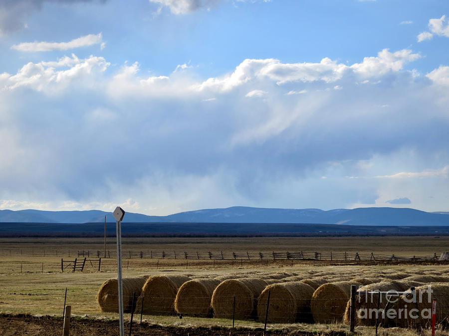 Montana Ranch Hay Bales Photograph by Rachel Morrison