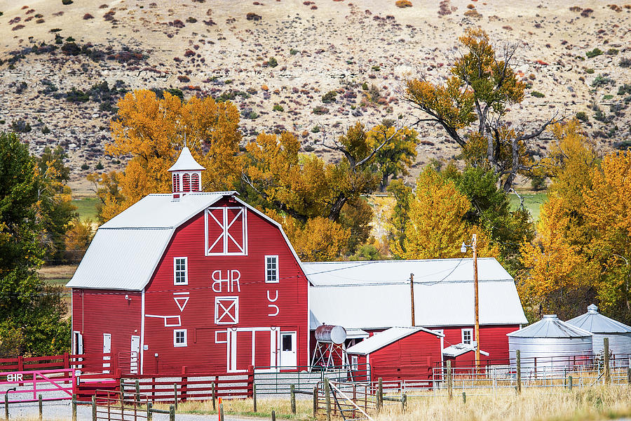 Montana Ranch Photograph by Paul Freidlund