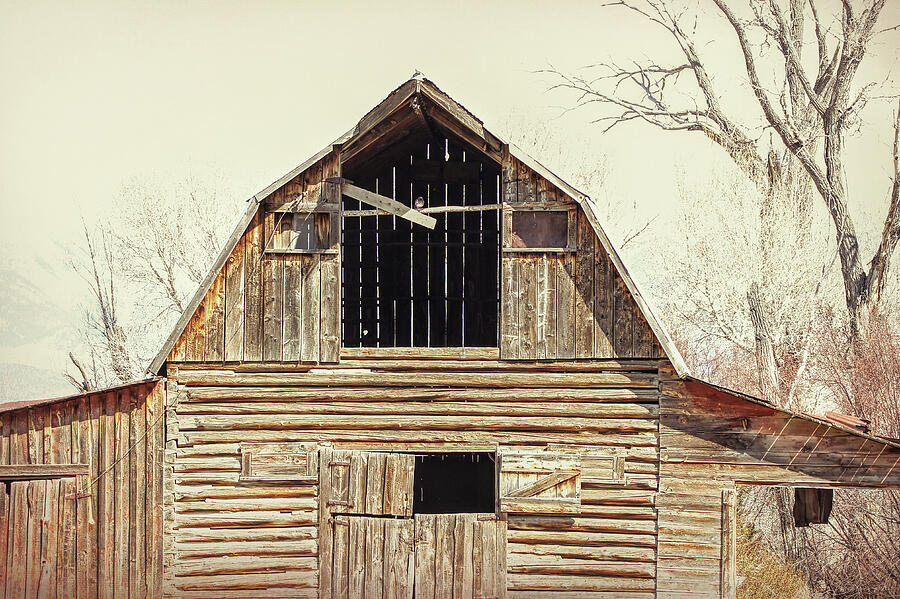 Montana Rustic Barn Photograph by Jennie Marie Schell