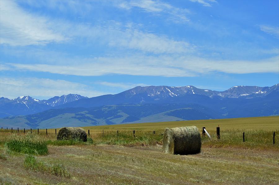 Montana scene Photograph by Michelle Hoffmann Montana scene Photograph by Michelle Hoffmann