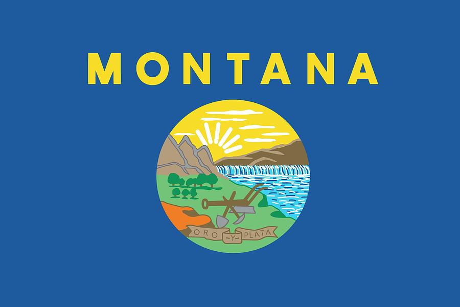 Flag Painting - Montana state flag by American School