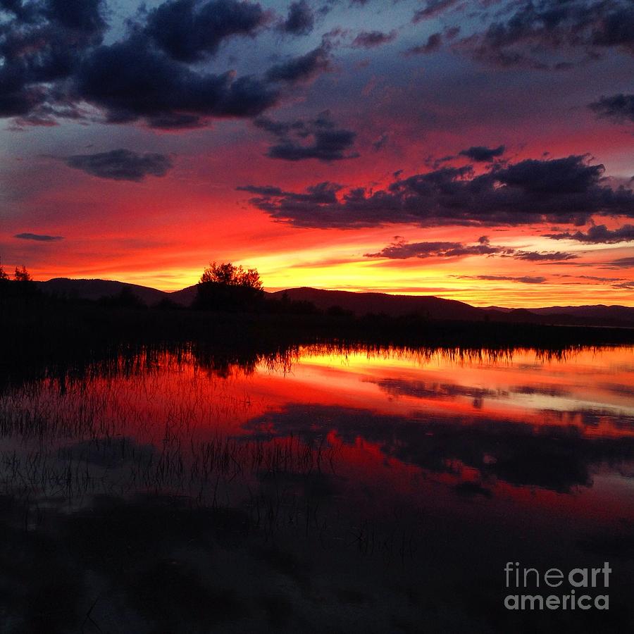 Montana Sunset Photograph by Amy Sorvillo