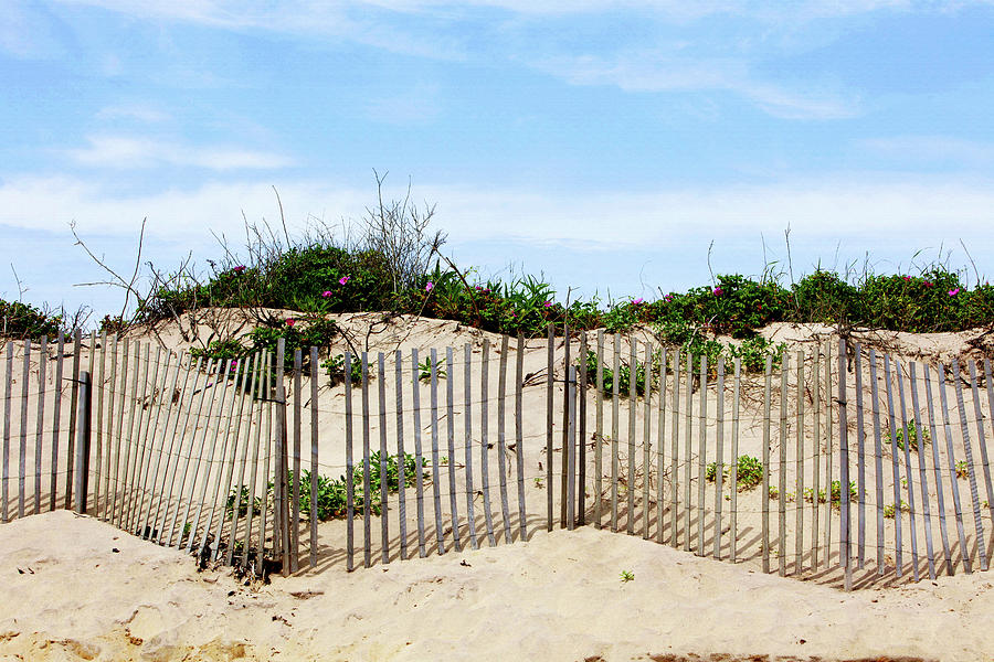 Beach Photograph - Montauk Dunes by Art Block Collections