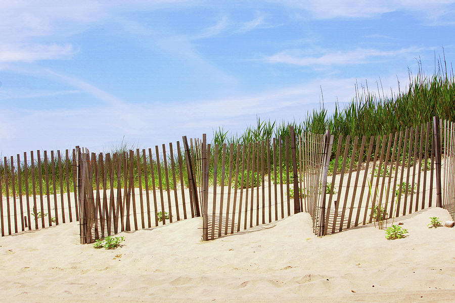 Montauk Sand Fence Photograph by Art Block Collections