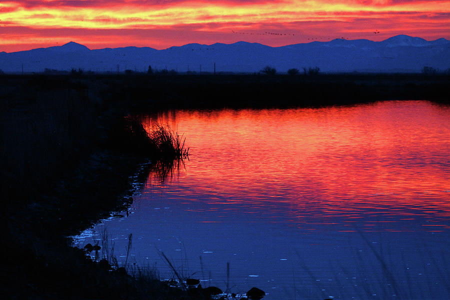 Monte Vista Sunrise Photograph by Mike Flynn