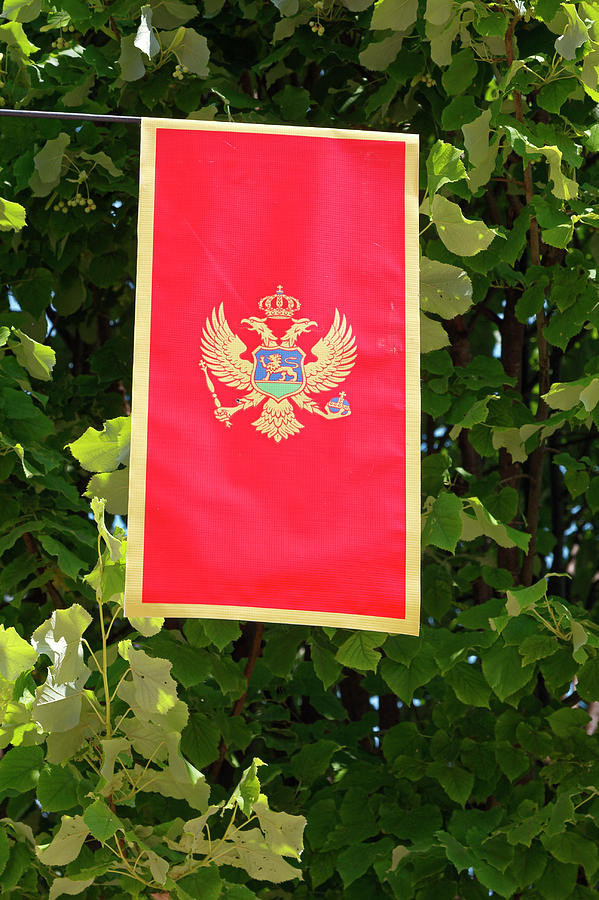 Montenegro Flag Banner Photograph by Sally Weigand