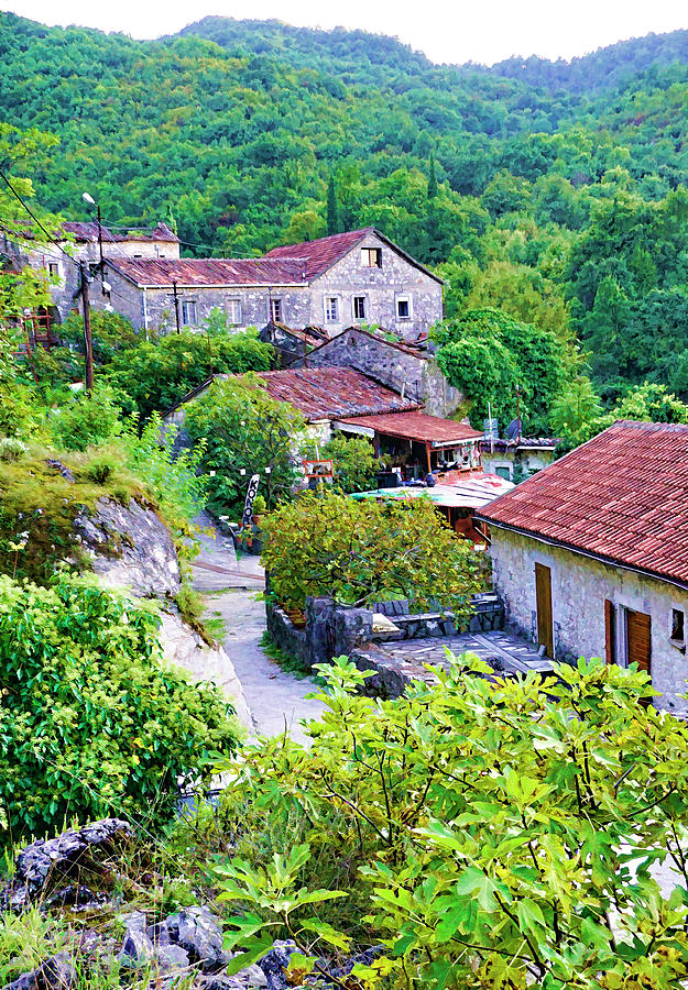 Montenegro Historical Village Photograph by Dennis Cox