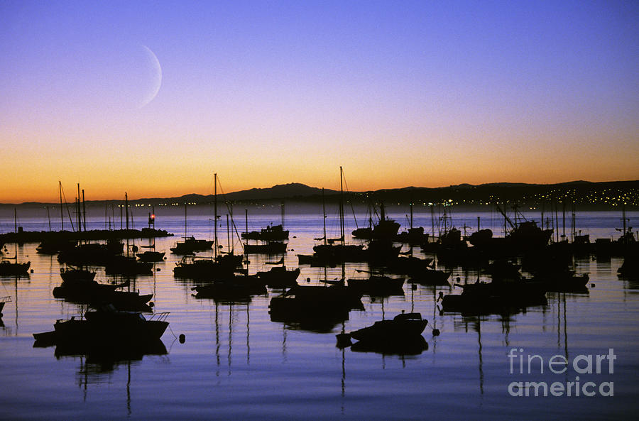 Monterey Bay Boats Photograph by Michael Howell - Printscapes