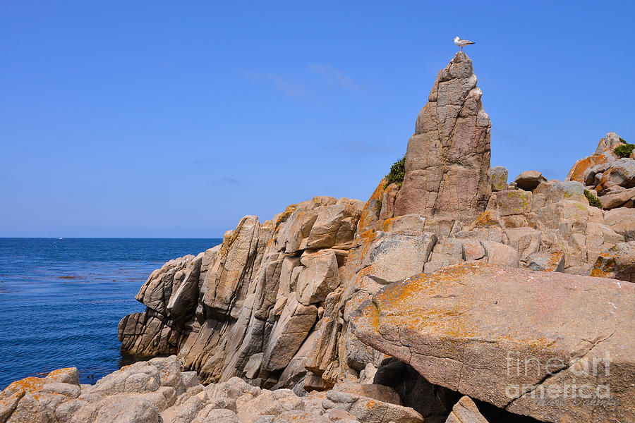 Monterey Bay Photograph by Mark Dahmke
