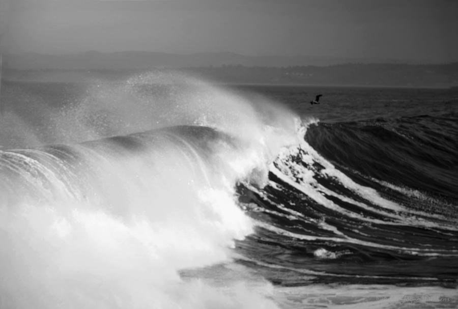 Monterey Bay Surf B and W Photograph by Joyce Dickens