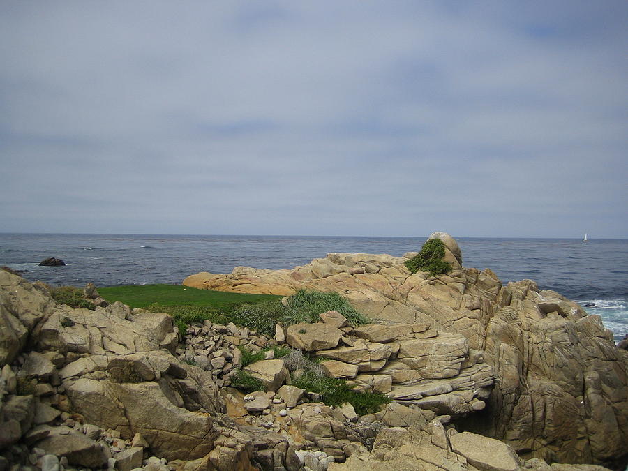 Monterey Beach California USA Photograph by John Shiron