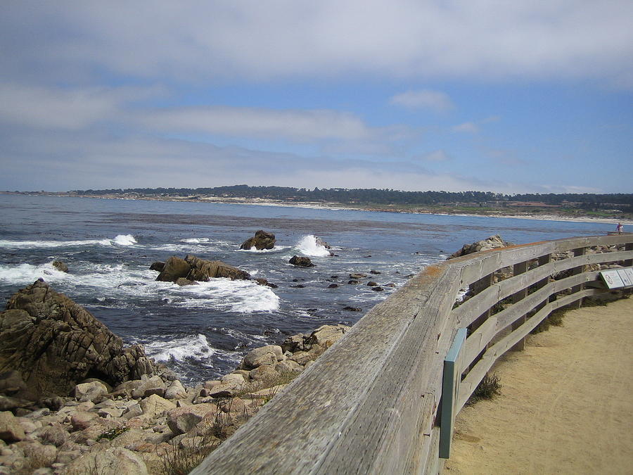 Monterey Beach Rail California USA Photograph by John Shiron