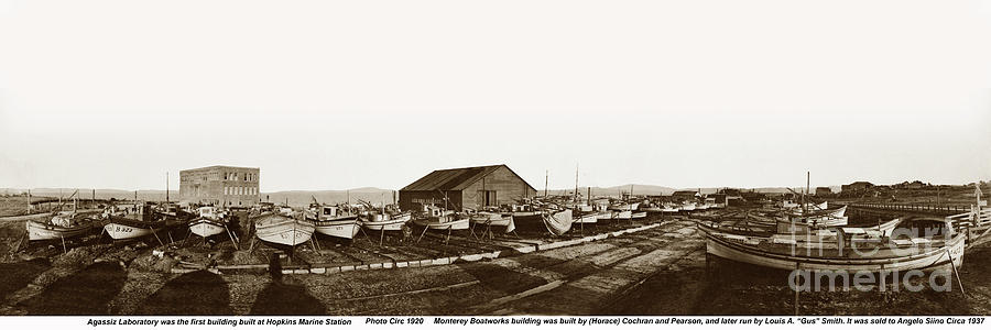 Pearson Photograph - Monterey Boat Works, Hopkins Marine station by Monterey County Historical Society