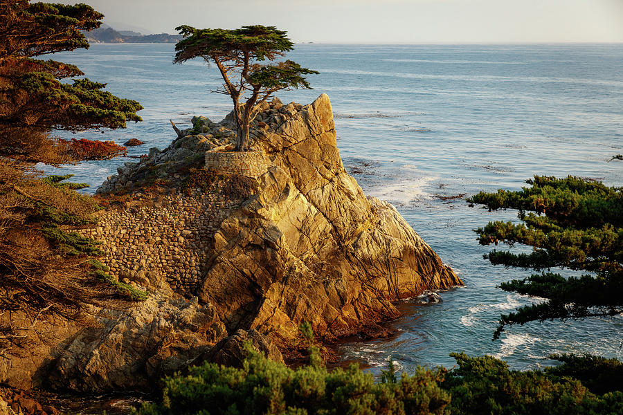 Monterey California 3 Photograph by Mike Penney