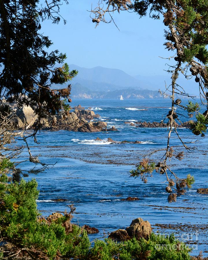 Monterey Coast Photograph by Patrick Witz