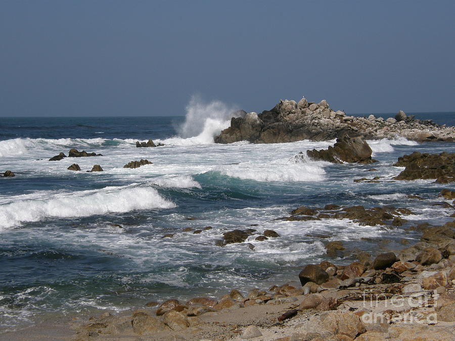 Nature Photograph - Monterey Coastline by Bev Conover