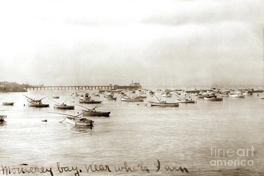 Salmon Photograph - Early Monterey commercial fishing fleet at anchor in Monterey harbor circa 1920 by Monterey County Historical Society