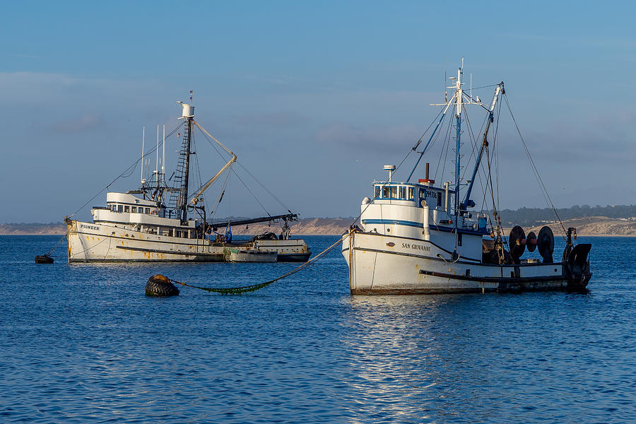 Monterey Fishing Boats Photograph by Derek Dean