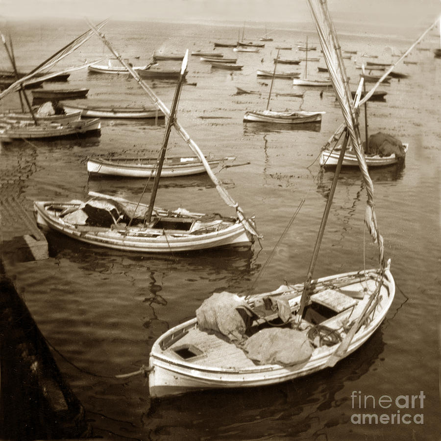 Monterey Photograph - Monterey fishing fleet of lateen sailboats 1902 by Monterey County Historical Society