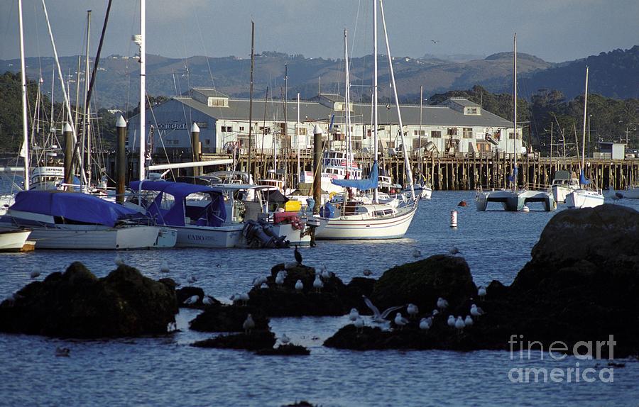 Monterey Harbor and Wharf 2 Photograph by James B Toy
