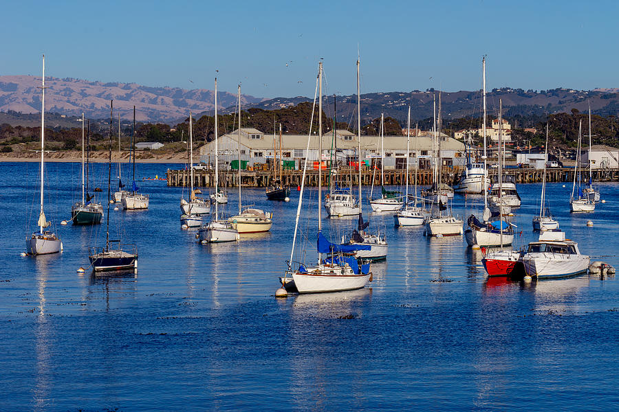 Monterey Harbor Photograph by Derek Dean