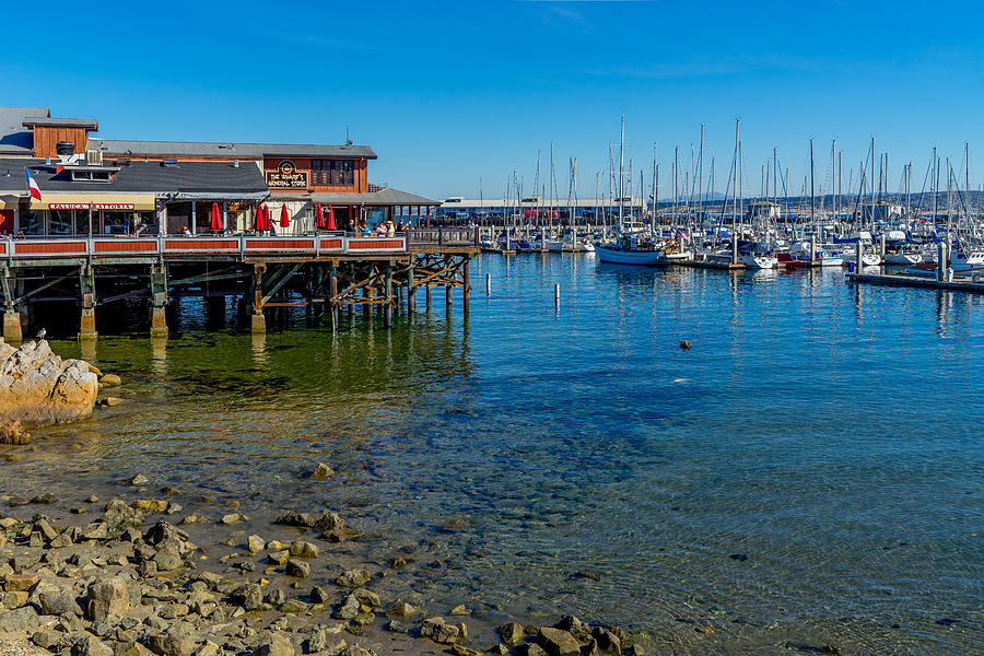 Monterey Harbor Morning Photograph by Derek Dean