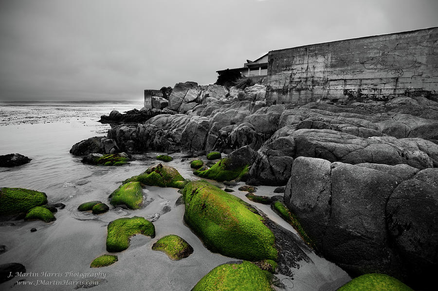 Beach Photograph - Monterey Moss by Jim Harris