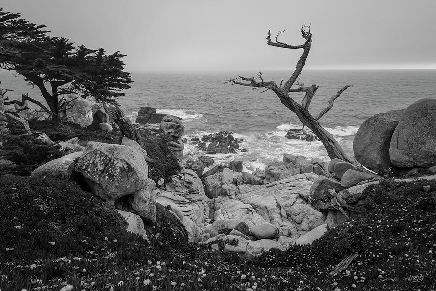 Monterey Peninsula III BW Photograph by David Gordon
