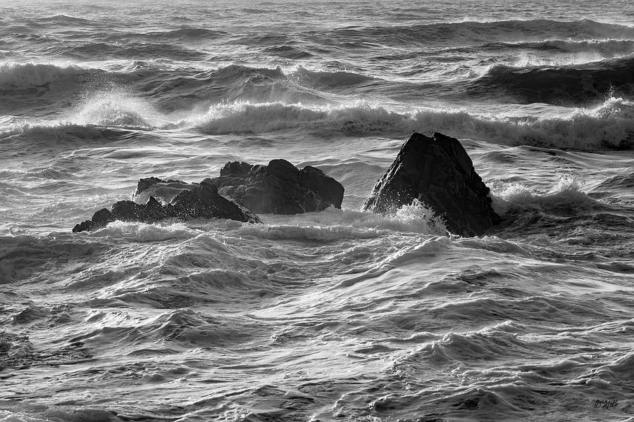 Monterey Peninsula IV BW Photograph by David Gordon