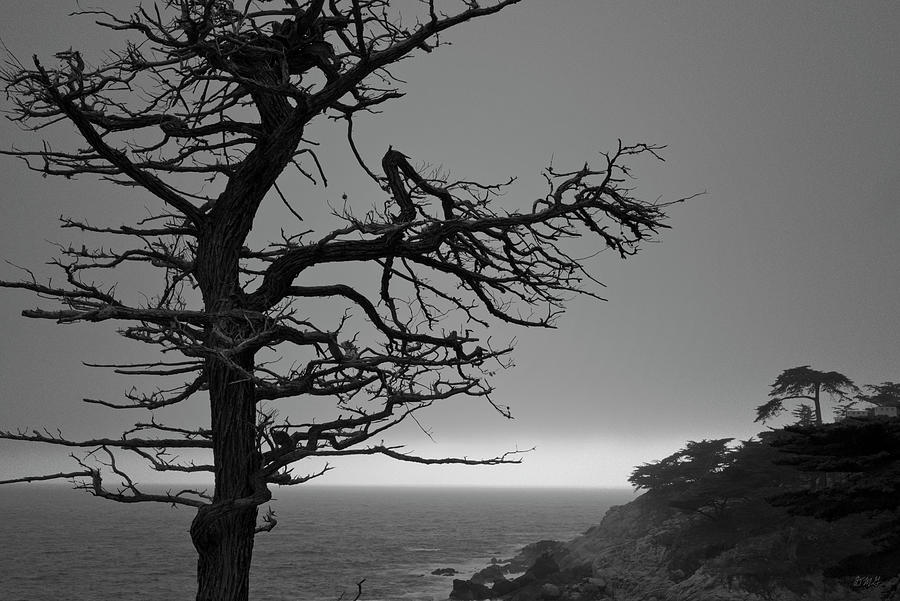 Monterey Peninsula I BW Photograph by David Gordon