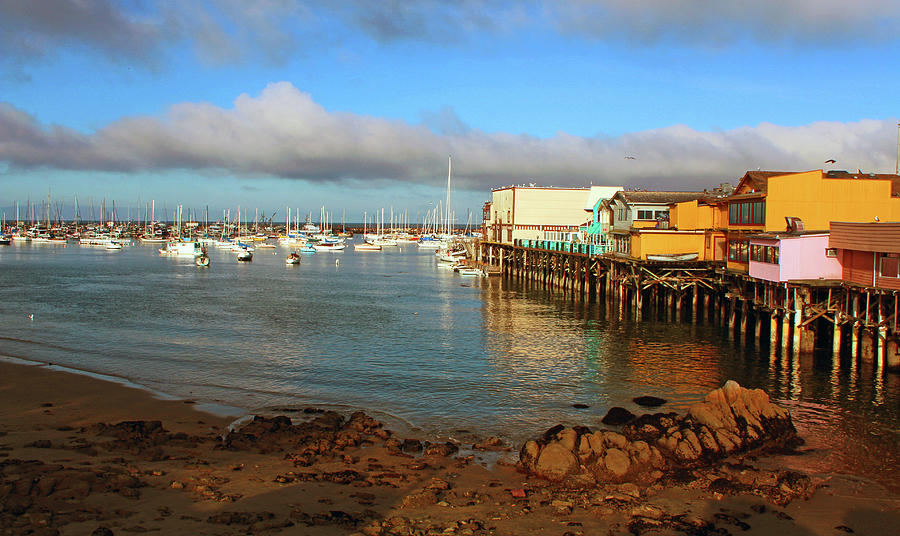 Monterey Wharf Photograph by Dr Janine Williams