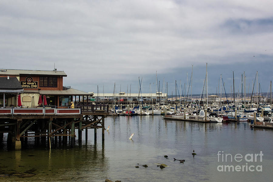Monterey Wharf Meets Harbor Photograph by Suzanne Luft
